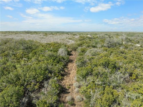 TBD County Road 343, George West, TX, 78022 | Card Image