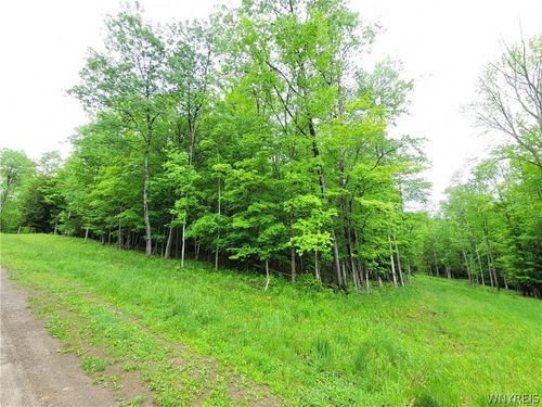 0 County Road 24, Swain, NY, 14884 | Card Image