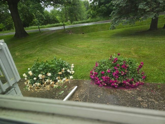 image000000 | Image 27