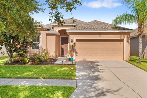 12009 Rambling Stream, RIVERVIEW, FL, 33569 | Card Image