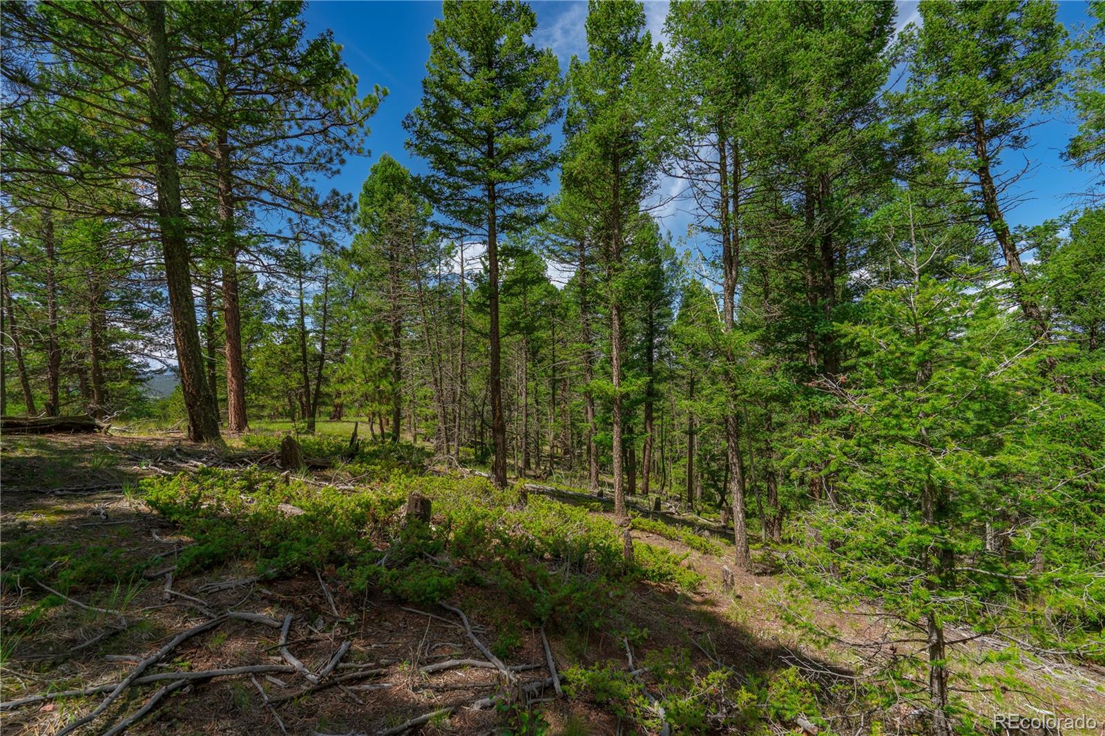 Land in Florissant 3