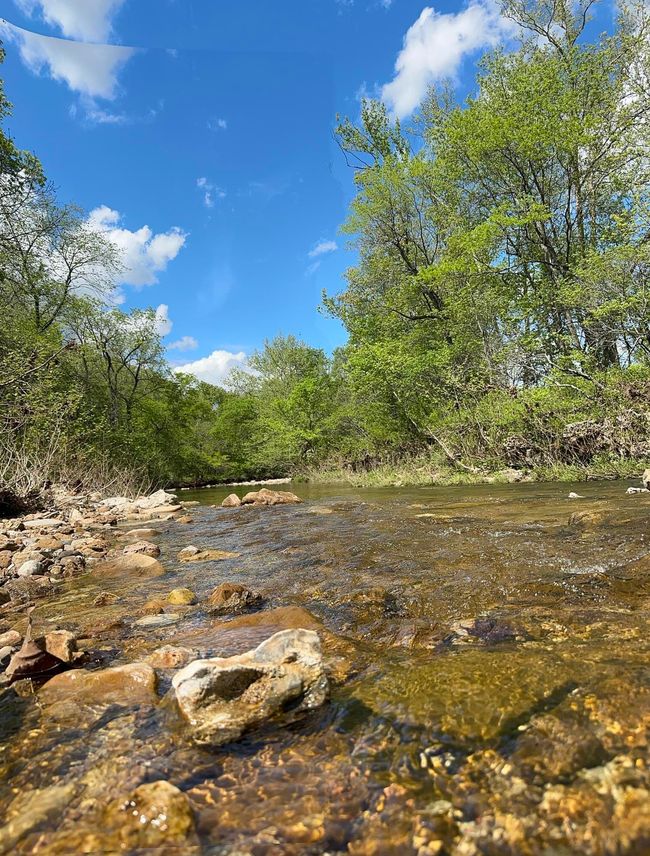Deer Creek | Image 21