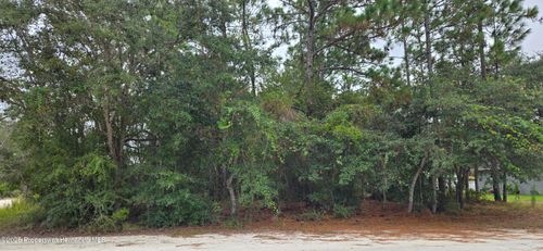 0 Canada Goose Rd, BROOKSVILLE, FL, 34614 | Card Image