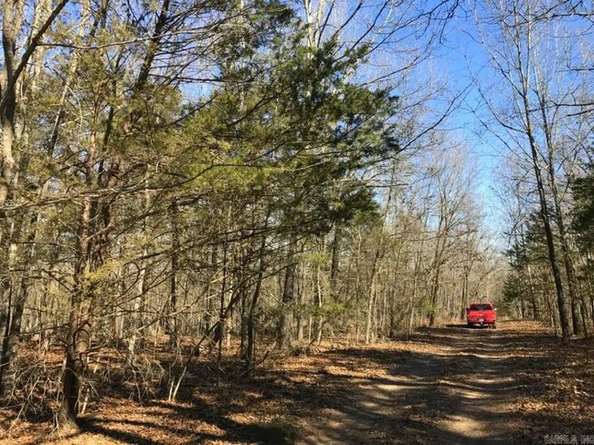 000 Cedar Ln, Home with 0 bedrooms, 0 bathrooms and null parking in Lead Hill AR | Image 29