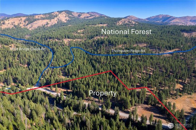 799 Twisp River Rd, Home with 0 bedrooms, 0 bathrooms and null parking in Twisp WA | Image 8