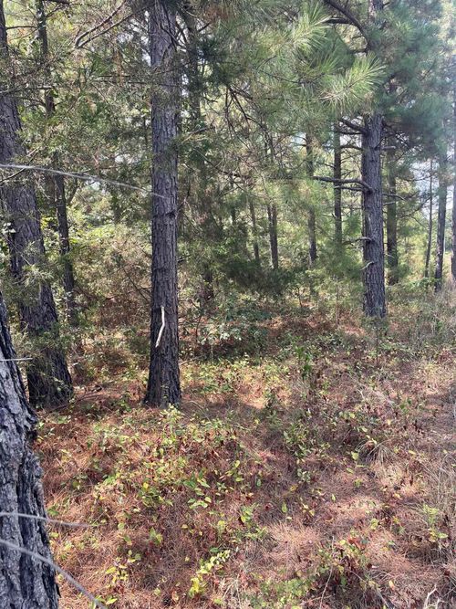 000 lot 23 Griffin Farm Road Road, Quitman, AR, 72131 | Card Image
