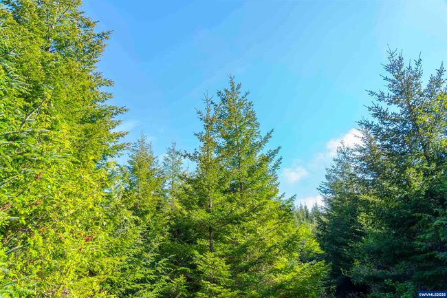 0 Elmer Miller Rd, Home with 0 bedrooms, 0 bathrooms and null parking in Siletz OR | Image 13