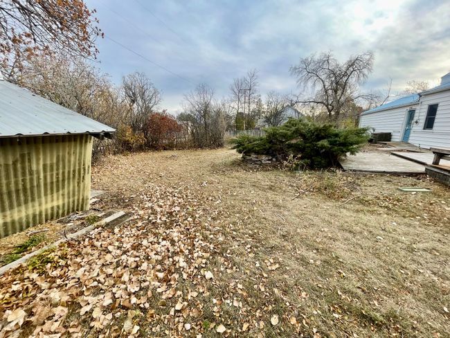 Back Yard | Image 29