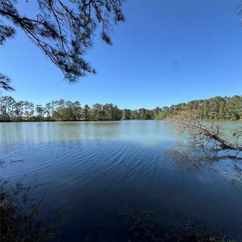 6273 Alder Creek Dr, Montgomery, TX, 77316-1215 | Card Image