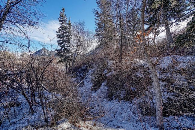 11 Loder Mountain Dr, Home with 0 bedrooms, 0 bathrooms and null parking in Exshaw AB | Image 11
