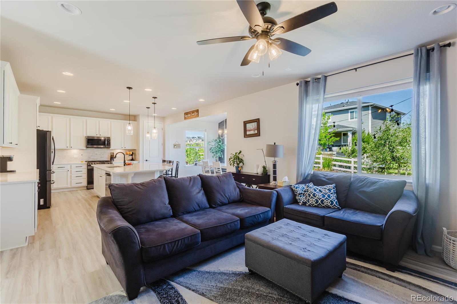 Residential in Castle Rock 4