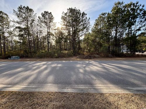 3045 Newcastle Loop, Myrtle Beach, SC, 29588-4502 | Card Image