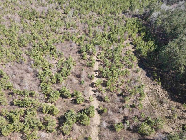 00 Highway 278 Highway, Home with 0 bedrooms, 0 bathrooms and null parking in Rosston AR | Image 33