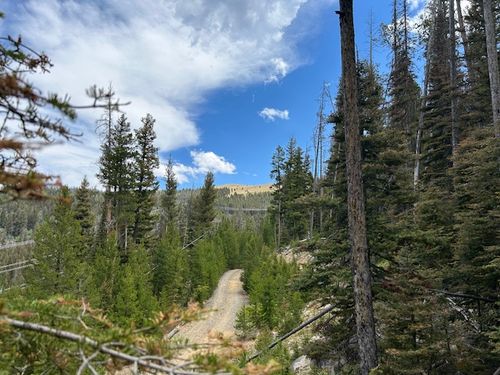 269 Boulder Chief Rd, Basin, MT, 59631 | Card Image