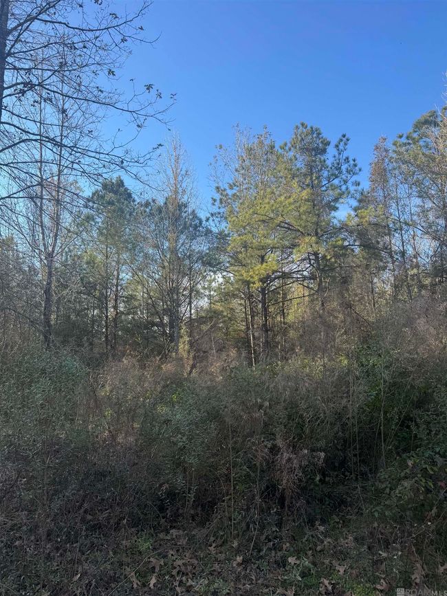 5903 Line Rd, Home with 0 bedrooms, 0 bathrooms and null parking in Ethel LA | Image 12