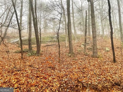 0 Fox Mountain Rd, Hiddenite, NC, 28636 | Card Image