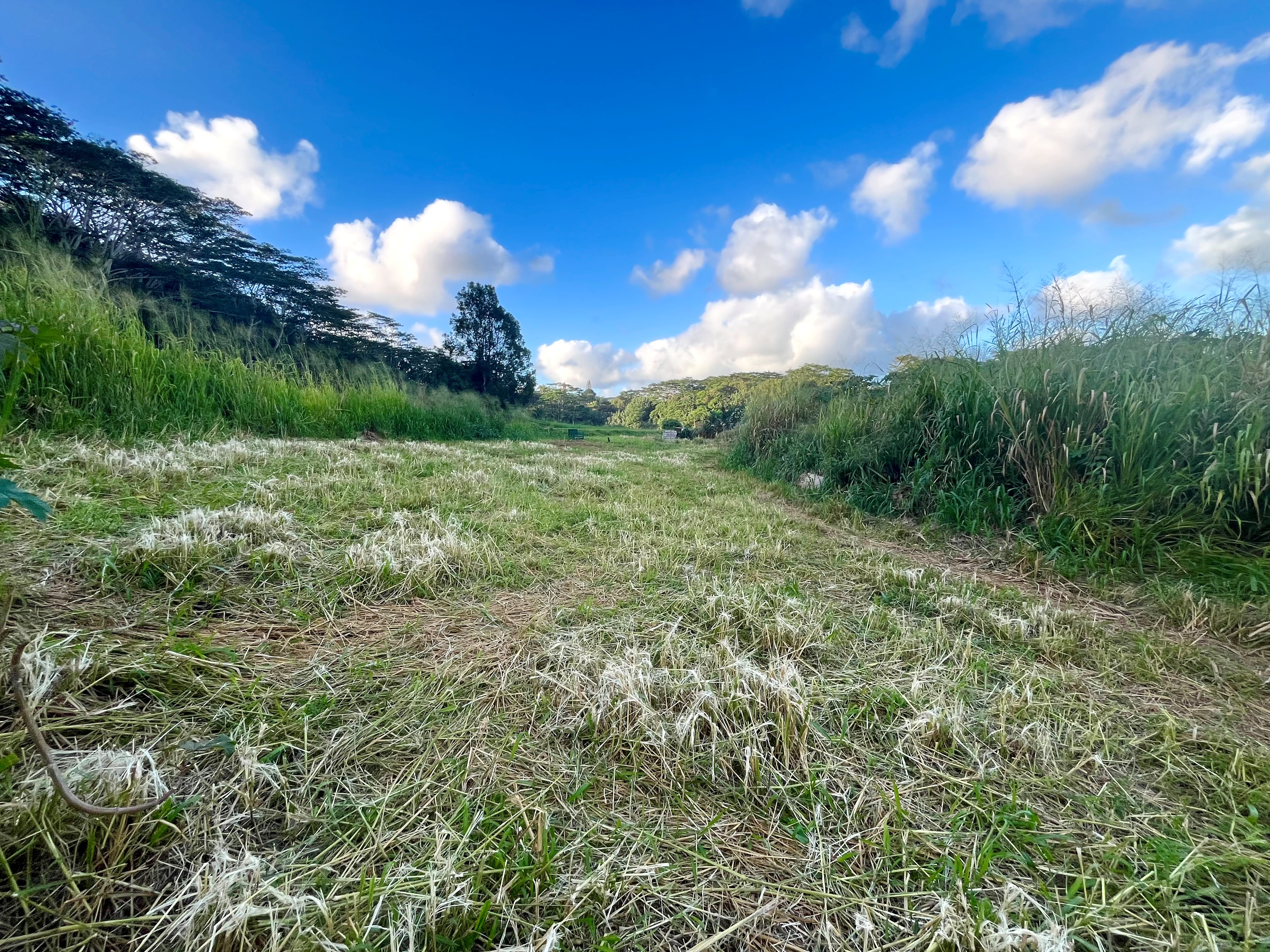 Land in Kapaa 2