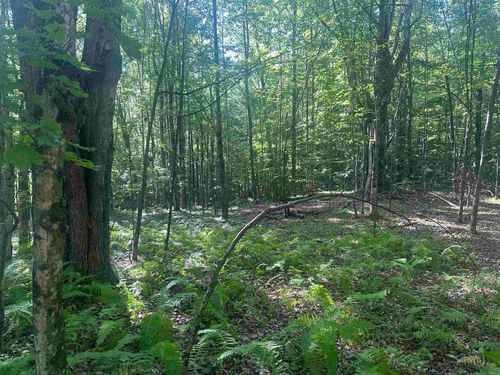 0 Helvi Hill Rd, Rutland, VT, 05701 | Card Image