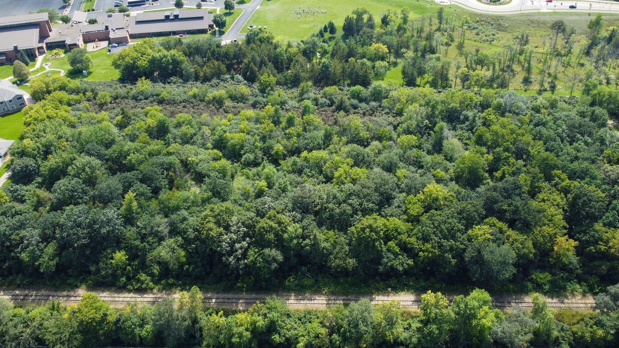 Land in Monticello 2