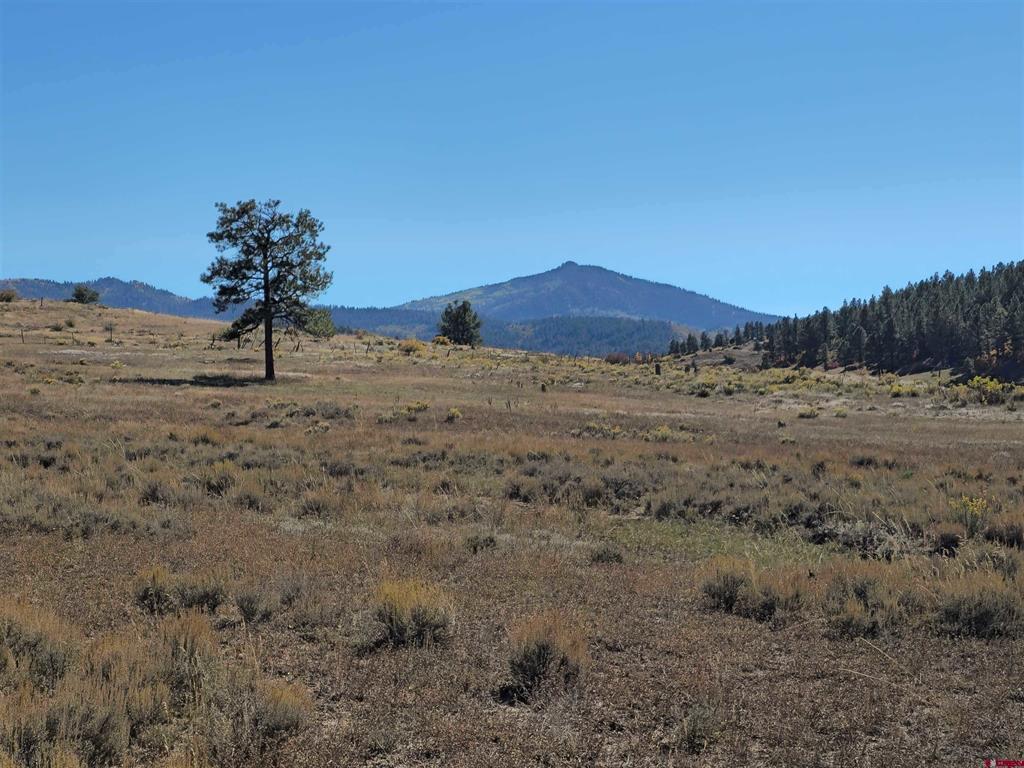 Land in Pagosa Springs 5