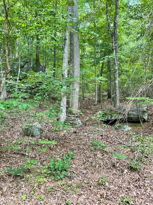 Lot 11 Lonesome Pine Rd, Murphy, NC, 28906-1760 | Card Image
