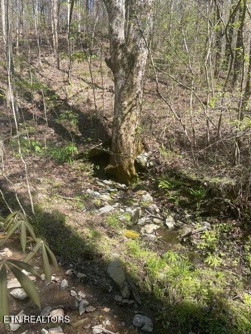 1 Old Furnace Rd, Tellico Plains, TN, 37385 | Card Image