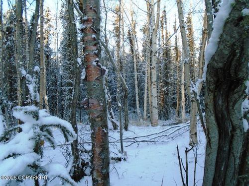 6671 S Lark Cir, Wasilla, AK, 99623-8835 | Card Image