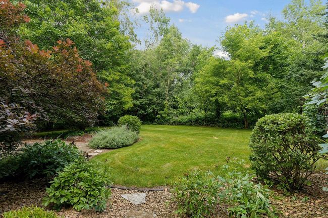 Beautiful serene and private wooded lot. | Image 35