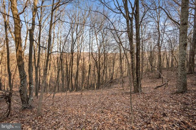 LOT 4 Back Creek Rd, Home with 0 bedrooms, 0 bathrooms and null parking in GORE VA | Image 12