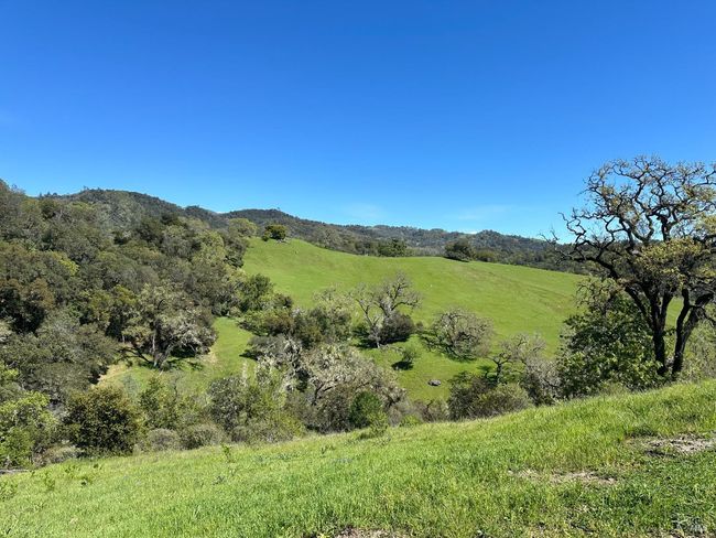 23655 Vineyard Rd, Home with 0 bedrooms, 0 bathrooms and null parking in Geyserville CA | Image 4