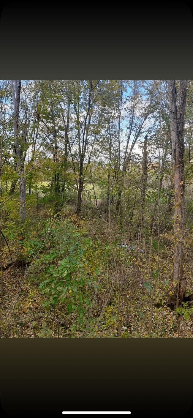 00000 County Road 673, Home with 0 bedrooms, 0 bathrooms and null parking in Lawrence MI | Image 16