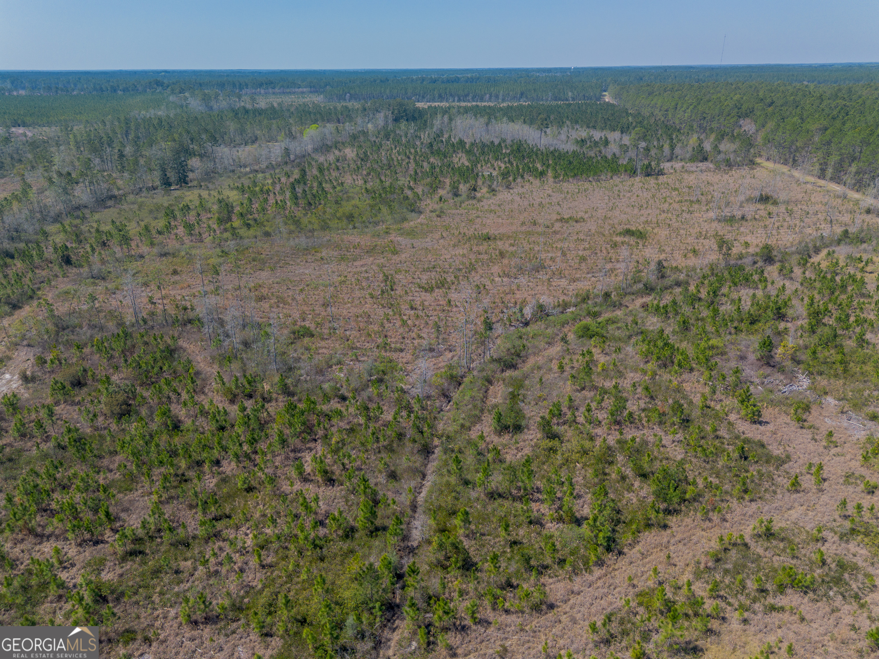 Land in Waycross 2