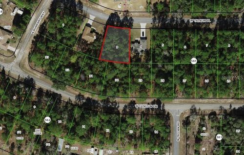3386 W Talinum Pl, CITRUS SPRINGS, FL, 34433-8304 | Card Image