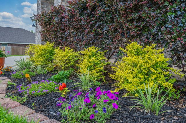 7-web-or-mls-3060-brandon-dunes-ln | Image 7
