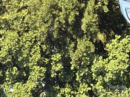 00 Summit Ridge Ln, Denver, NC, 28037 | Card Image