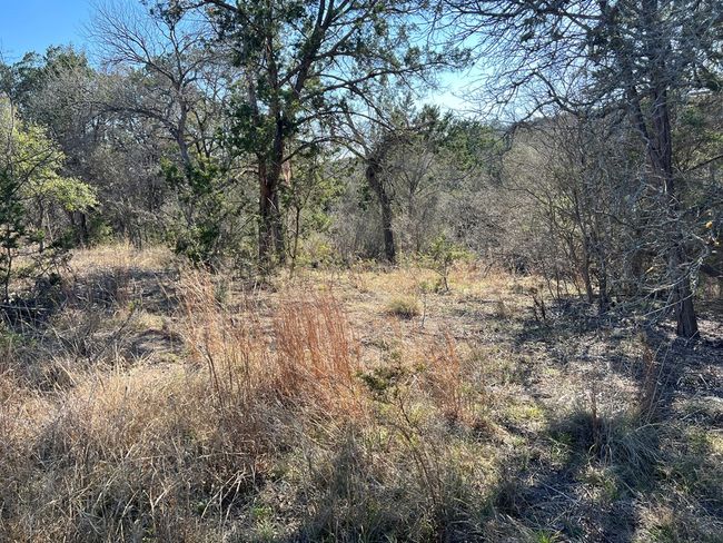 191 Scott Dr, Home with 0 bedrooms, 0 bathrooms and null parking in Center Point TX | Image 4
