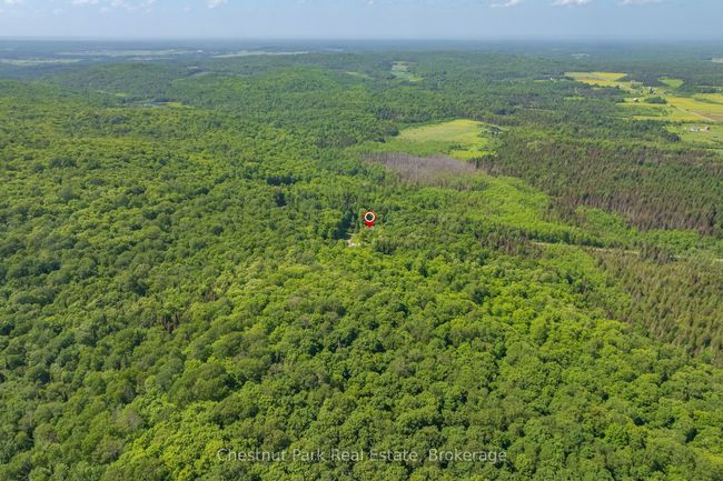 487 O'connor Line, House other with 3 bedrooms, 2 bathrooms and 10 parking in Powassan ON | Image 4