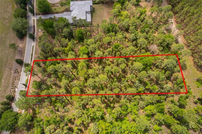 15902 Pendio Dr, Home with 0 bedrooms, 0 bathrooms and null parking in BELLA COLLINA FL | Image 4