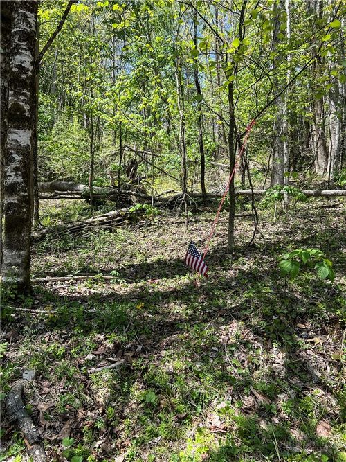 Lot# 34 Buckeye Creek Road, Beech Mountain, NC, 28622 | Card Image