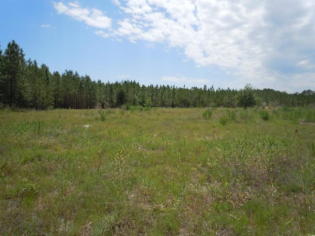 2231 Barts Rd, Home with 0 bedrooms, 0 bathrooms and null parking in Loris SC | Image 11