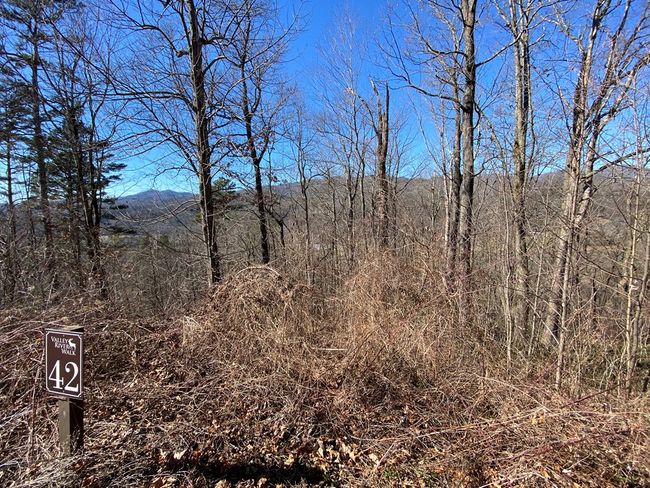 Lot 42 Silo View, Home with 0 bedrooms, 0 bathrooms and null parking in Marble NC | Image 6
