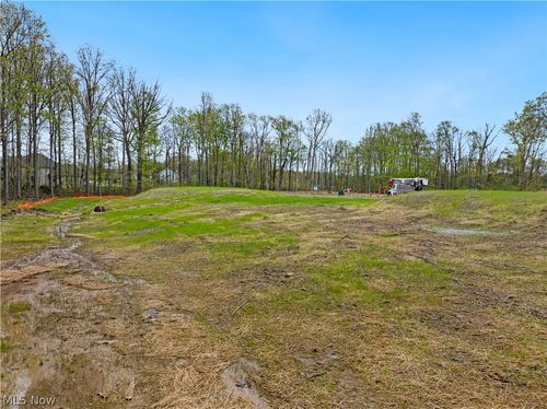 9533 River Birch Run, Brecksville, OH, 44141 | Card Image