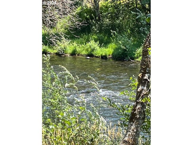 River Access | Image 8