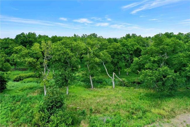 View of woods | Image 8