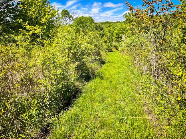 200 Straw Hill Rd, Home with 0 bedrooms, 0 bathrooms and null parking in Barton NY | Image 23