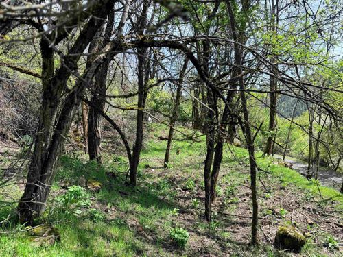 0 Forsman Ave, Orofino, ID, 83544 | Card Image