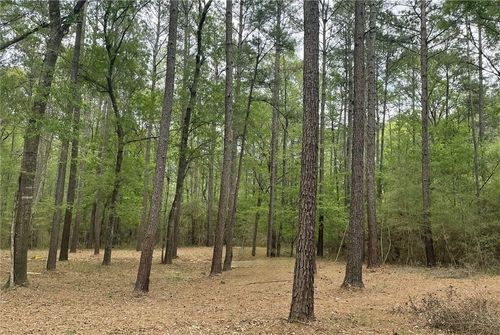 Lot 2 & 3 Remington Road, Huntsville, TX, 77340 | Card Image
