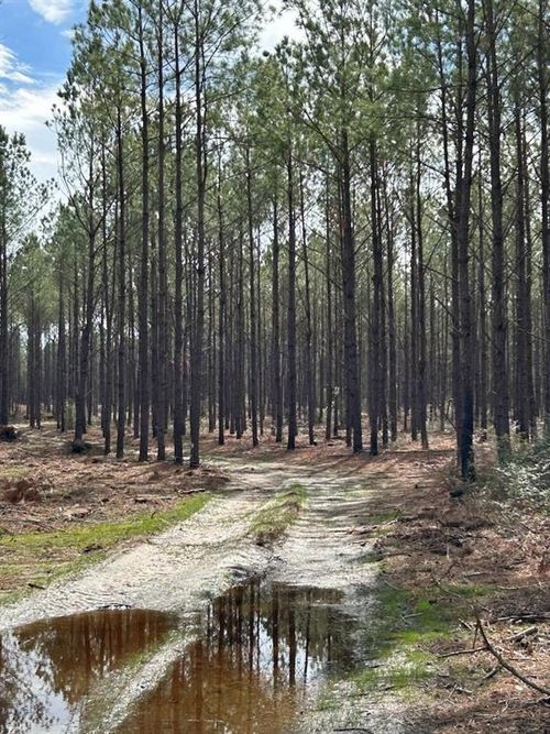 TBD Lloyd Walker Rd, Huntington, TX, 75949 | Card Image