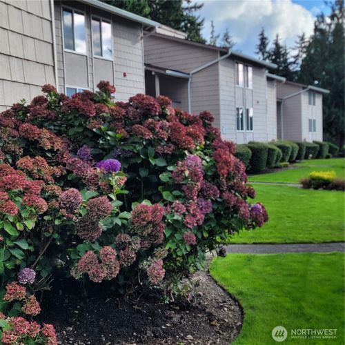 apt-a108-33010 17th Pl S, Federal Way, WA, 98003-9549 | Card Image