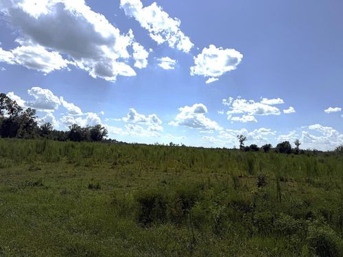 Lot 9 S Highway 71, Wewahitchka, FL, 32465 | Card Image